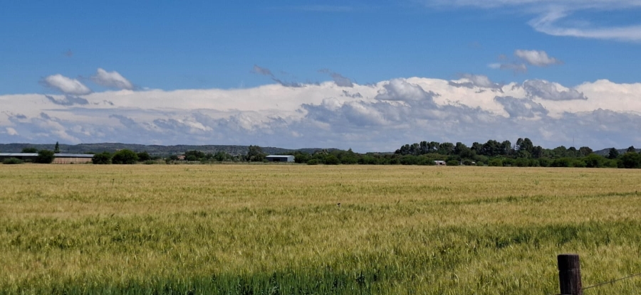 Commercial Property for Sale in Bloemfontein Rural Free State